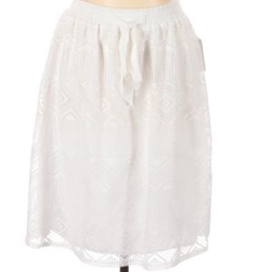Joe-B A-line skirt with embroidered details. 2/$30